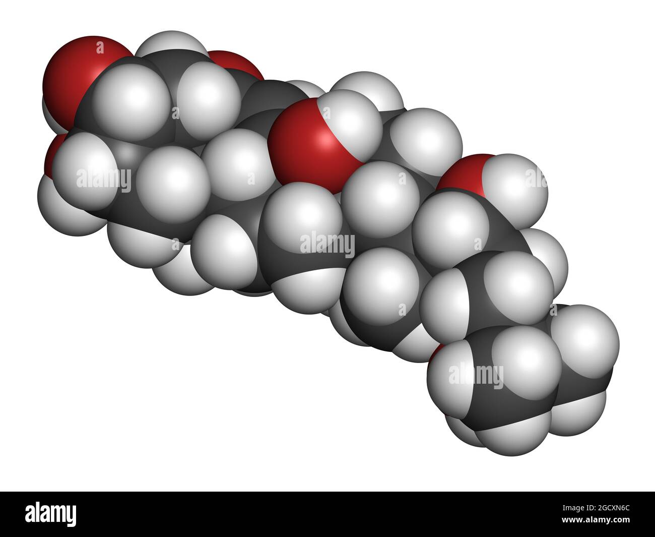 Insect molting hormone hi-res stock photography and images - Alamy