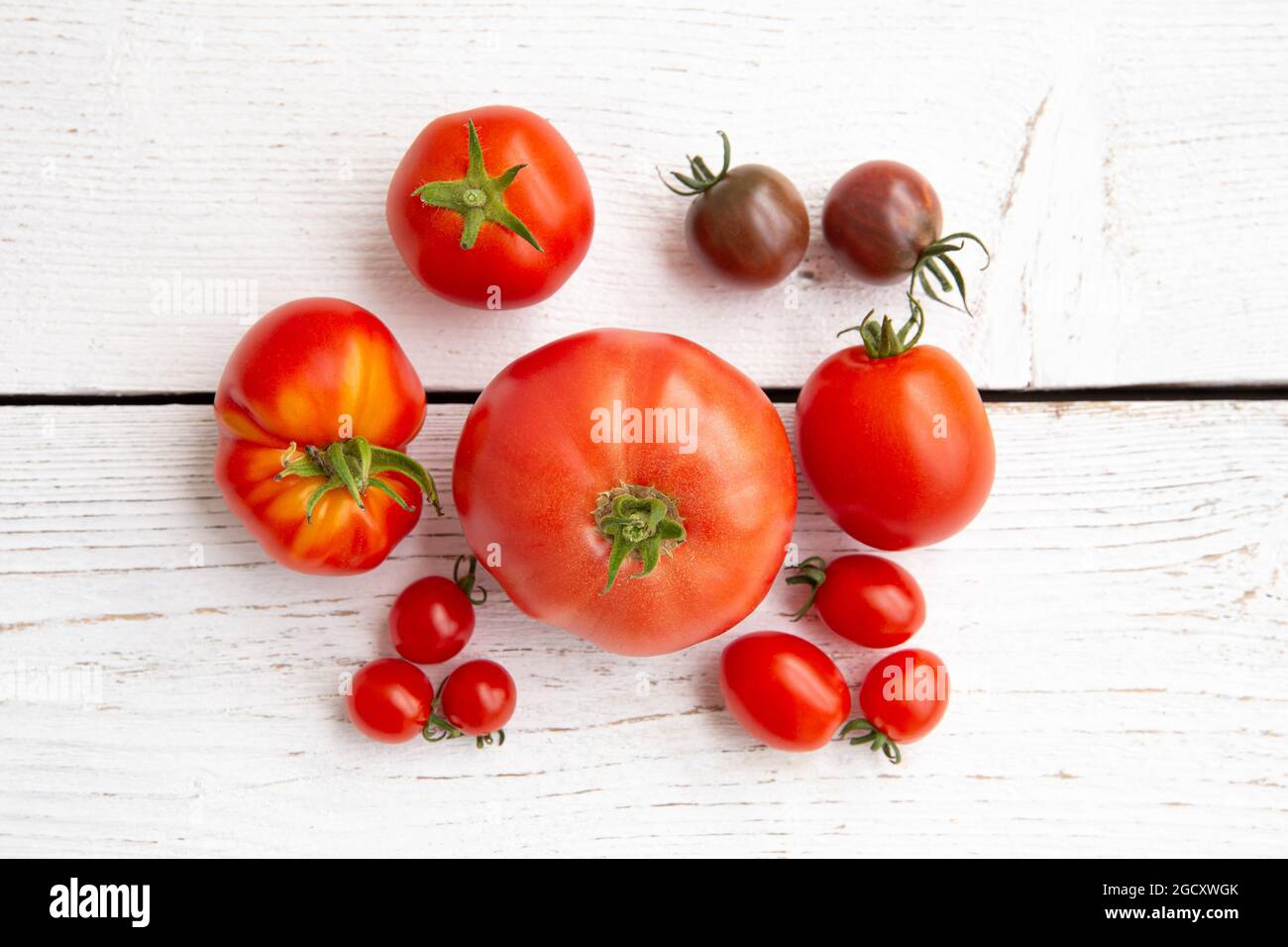 Above view or group of different shape, size and color tomatoes in row, copy space on white brown background. Stock Photo