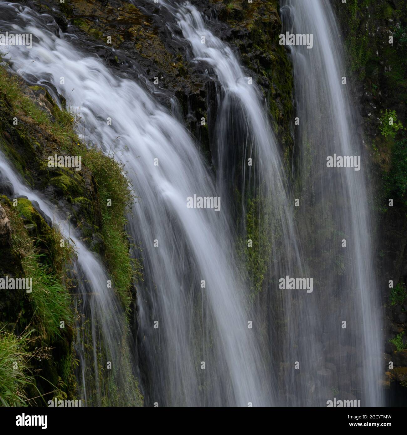Scenic view of waterfall, Whangarei Falls, Tikipunga, Whangarei, Northland, North Island, New Zealand Stock Photo
