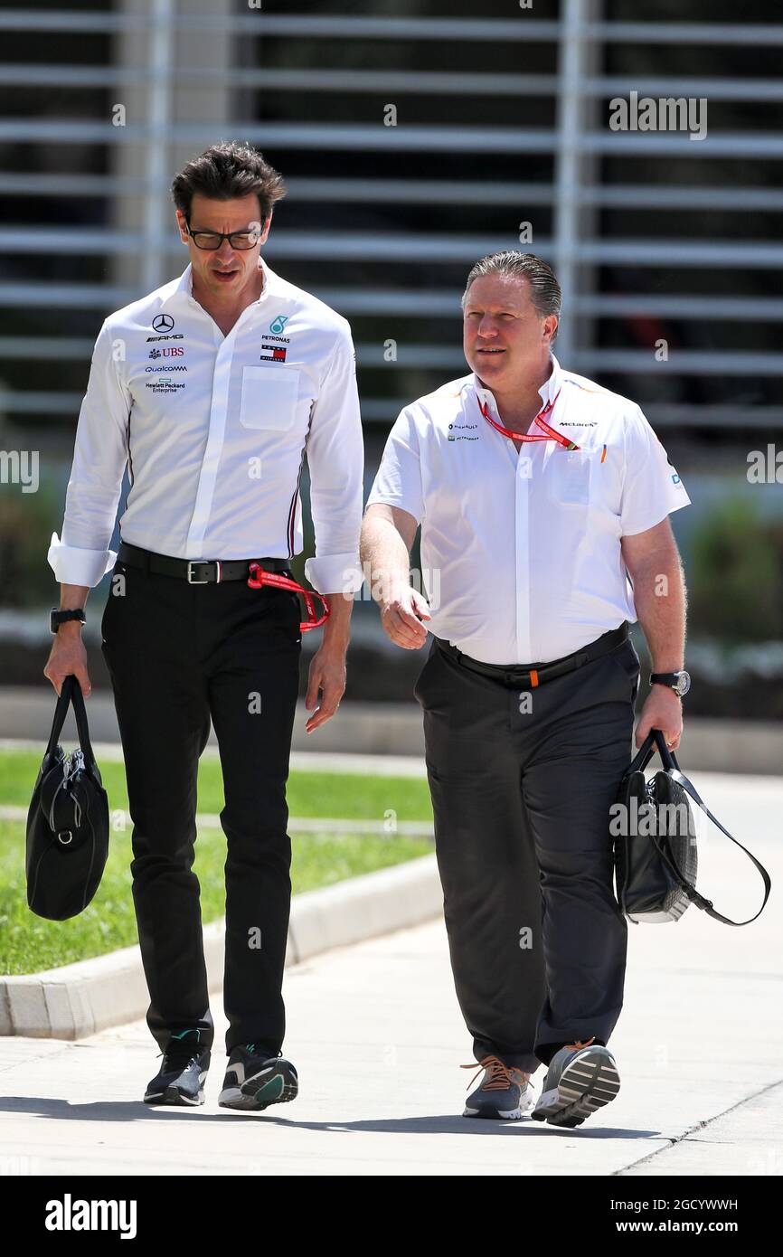 Mercedes AMG F1 Shareholder 