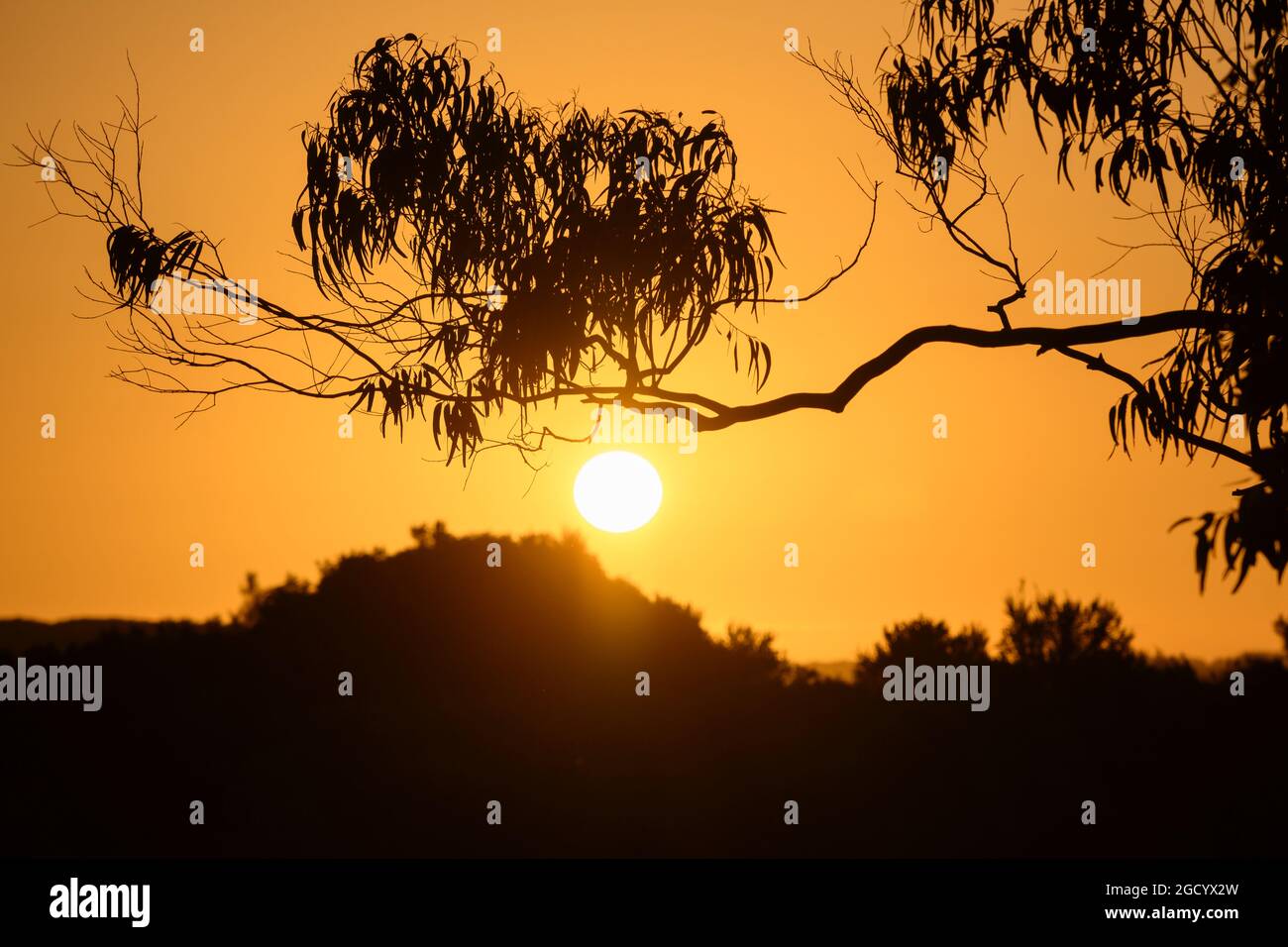 Karikari estate new zealand hires stock photography and images Alamy