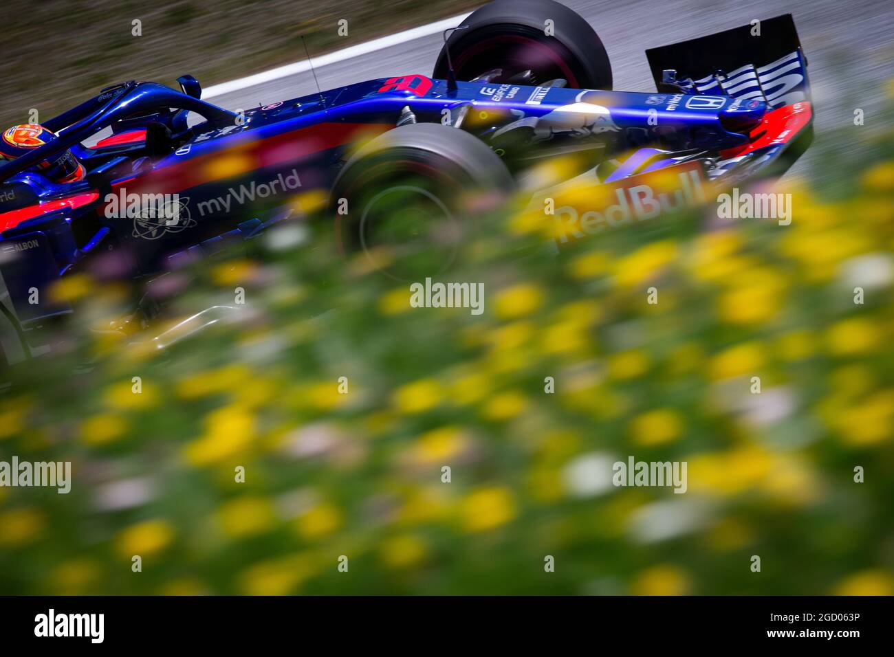 A. Albon Scuderia Toro Rosso STR14 #23 6th German GP F1 2019 417191123