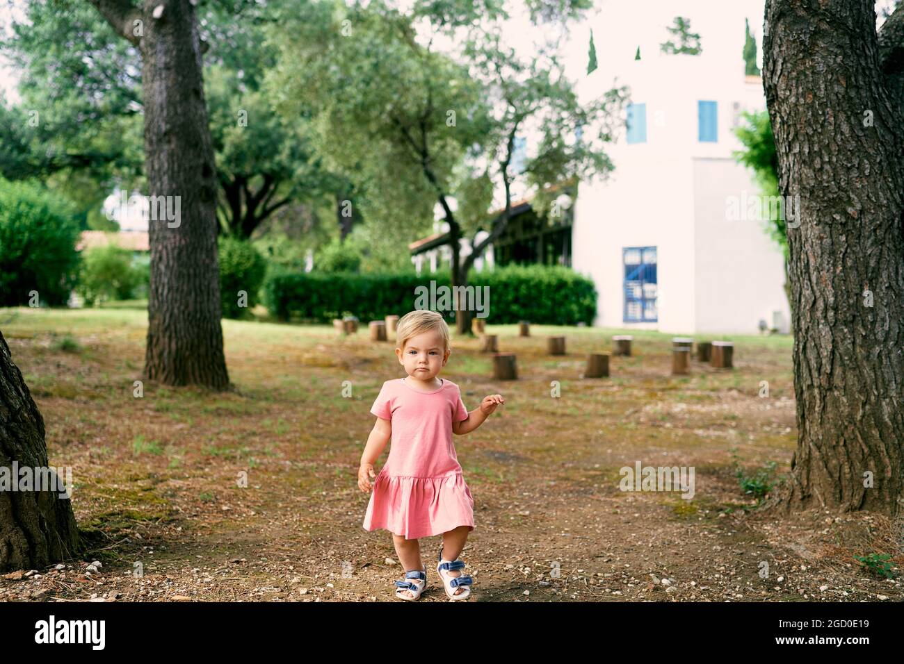 Little girl walks in a clearing near stumps in the courtyard Stock ...