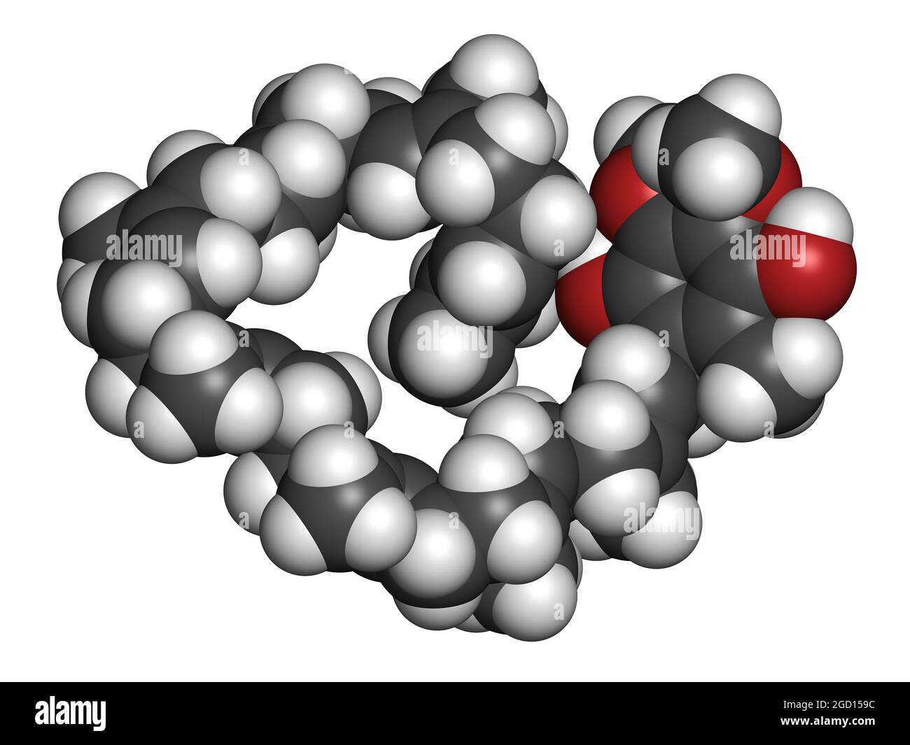 Ubiquinol molecule. Reduced form of coenzyme Q10. 3D rendering Stock ...