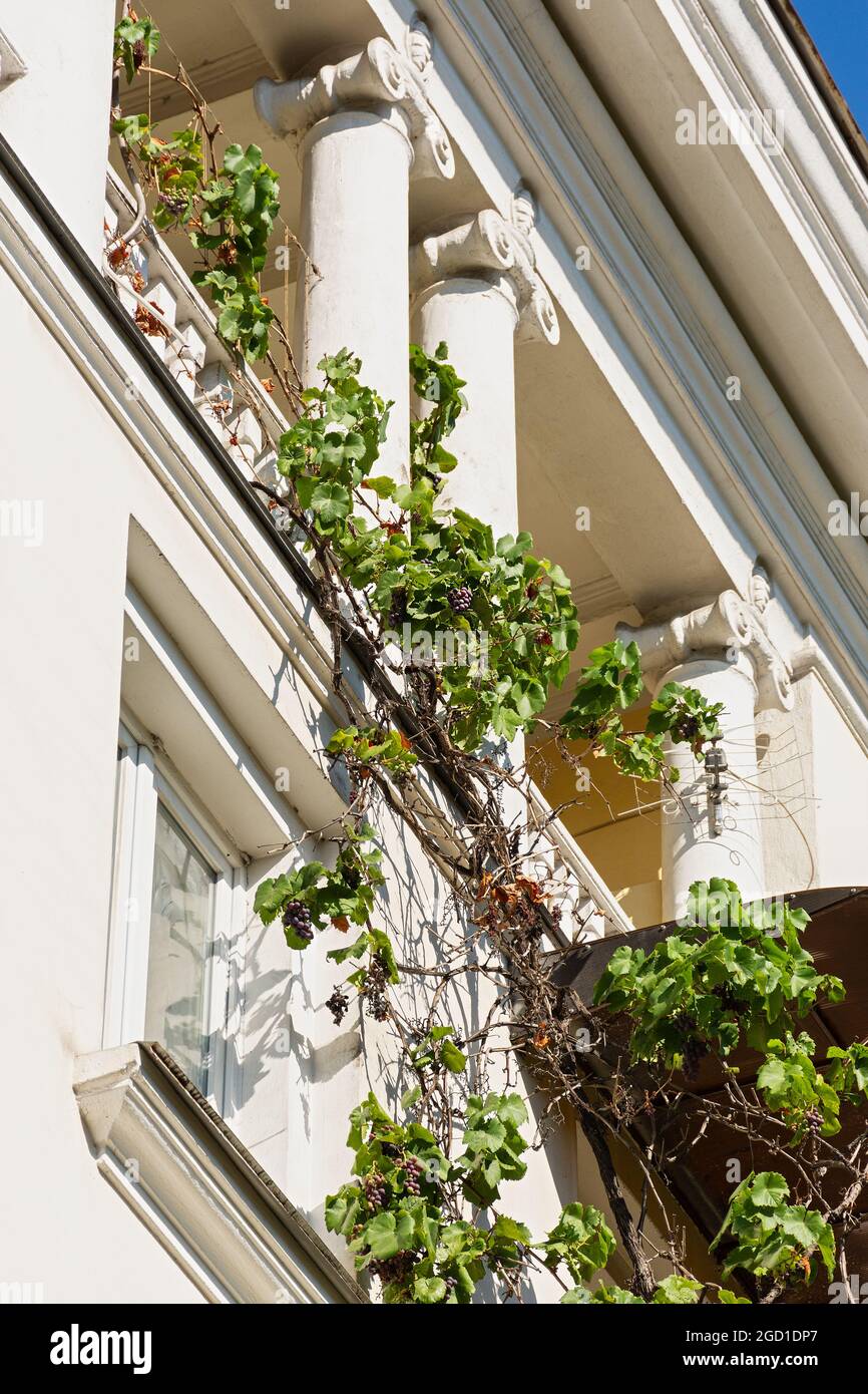 Branch railing hi-res stock photography and images - Alamy