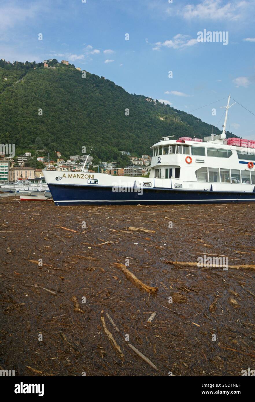 Landslides and floodings fill Lake Como with tree branches and other floating debris, Como, Italy Stock Photo