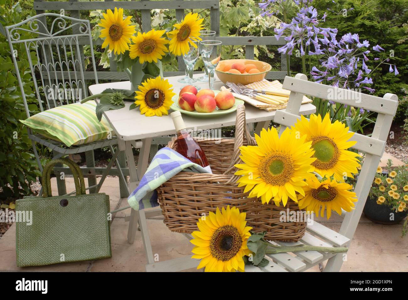 botany, ADDITIONAL-RIGHTS-CLEARANCE-INFO-NOT-AVAILABLE Stock Photo