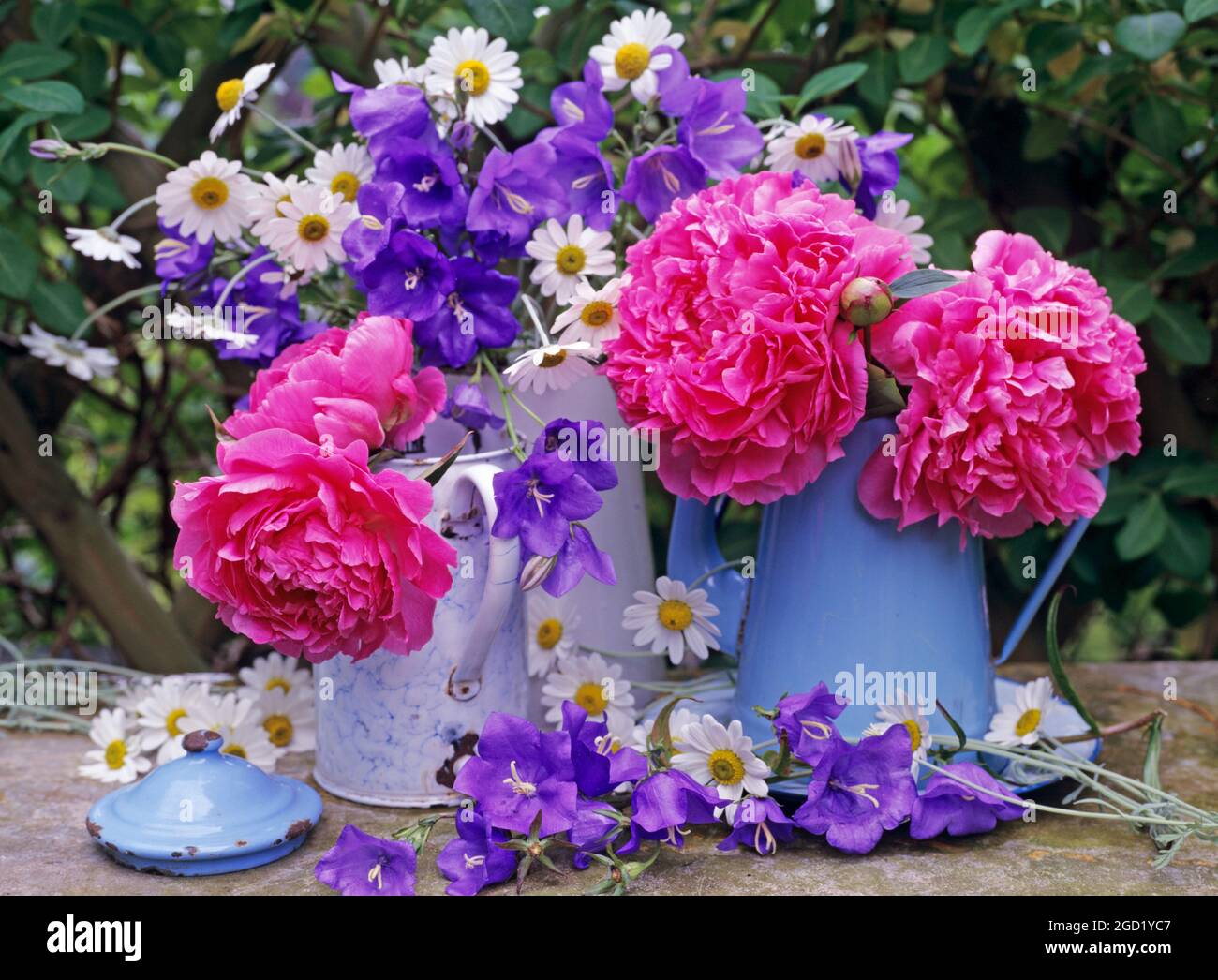 botany, peonia, chrysanthemum daisy, campanula platycodon grandiflorus in metal jugs outdoors, ADDITIONAL-RIGHTS-CLEARANCE-INFO-NOT-AVAILABLE Stock Photo