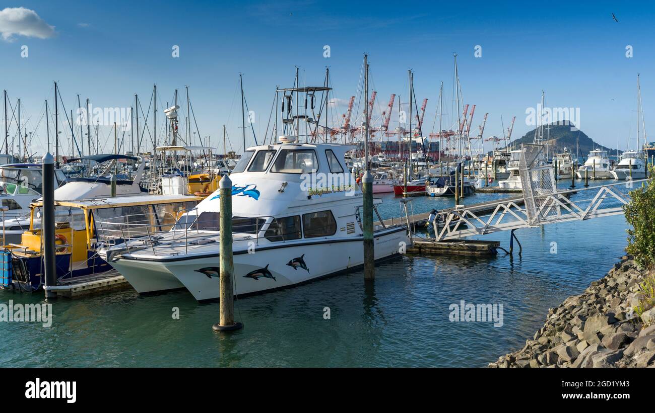 Tauranga bay of plenty north island new zealand hi-res stock ...