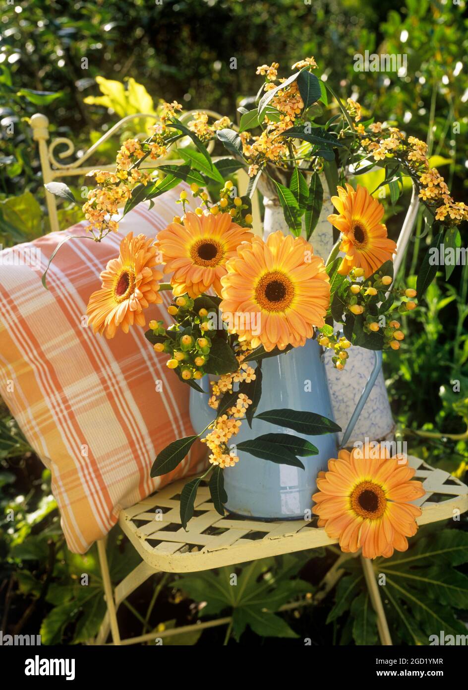 botany, Gerbera, euphorbia fulgens and hypericum in metal jugs on seat in the garden, ADDITIONAL-RIGHTS-CLEARANCE-INFO-NOT-AVAILABLE Stock Photo
