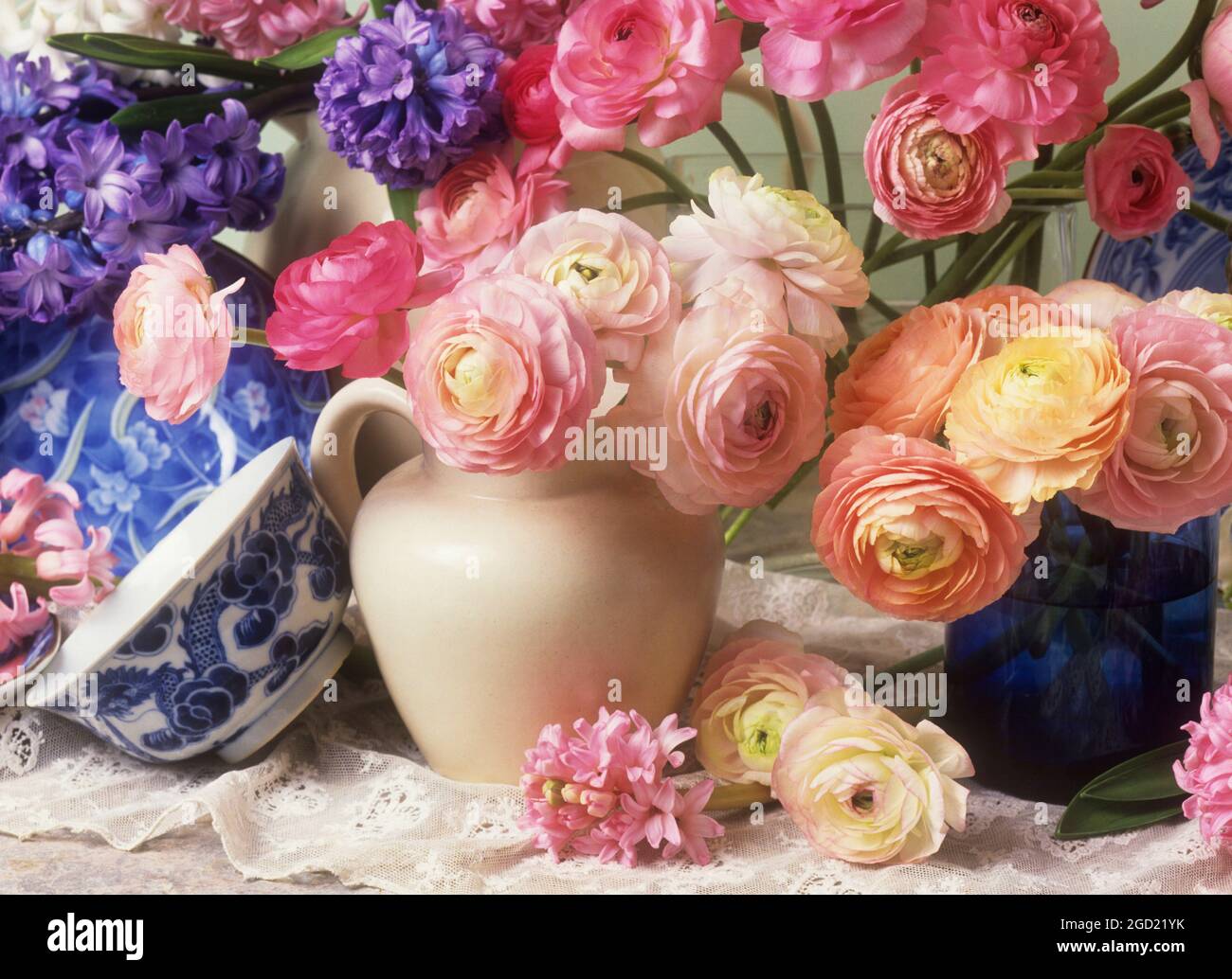 botany, ranunculus and hyacinth still life in jugs and vases,  ADDITIONAL-RIGHTS-CLEARANCE-INFO-NOT-AVAILABLE Stock Photo - Alamy