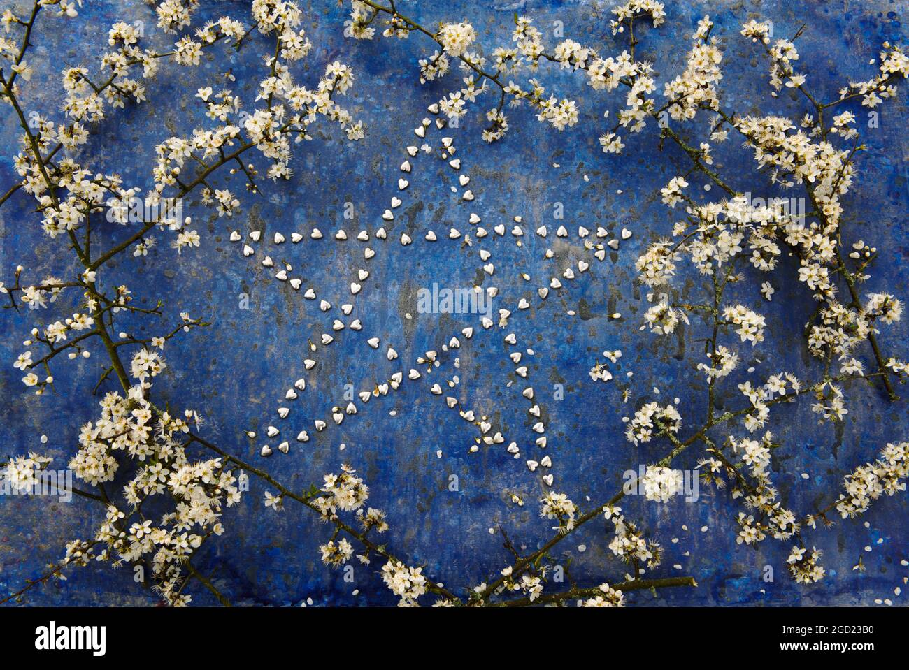 Star shape made from tiny silver hearts surrounded by branches of blackthorn blossom. Stock Photo