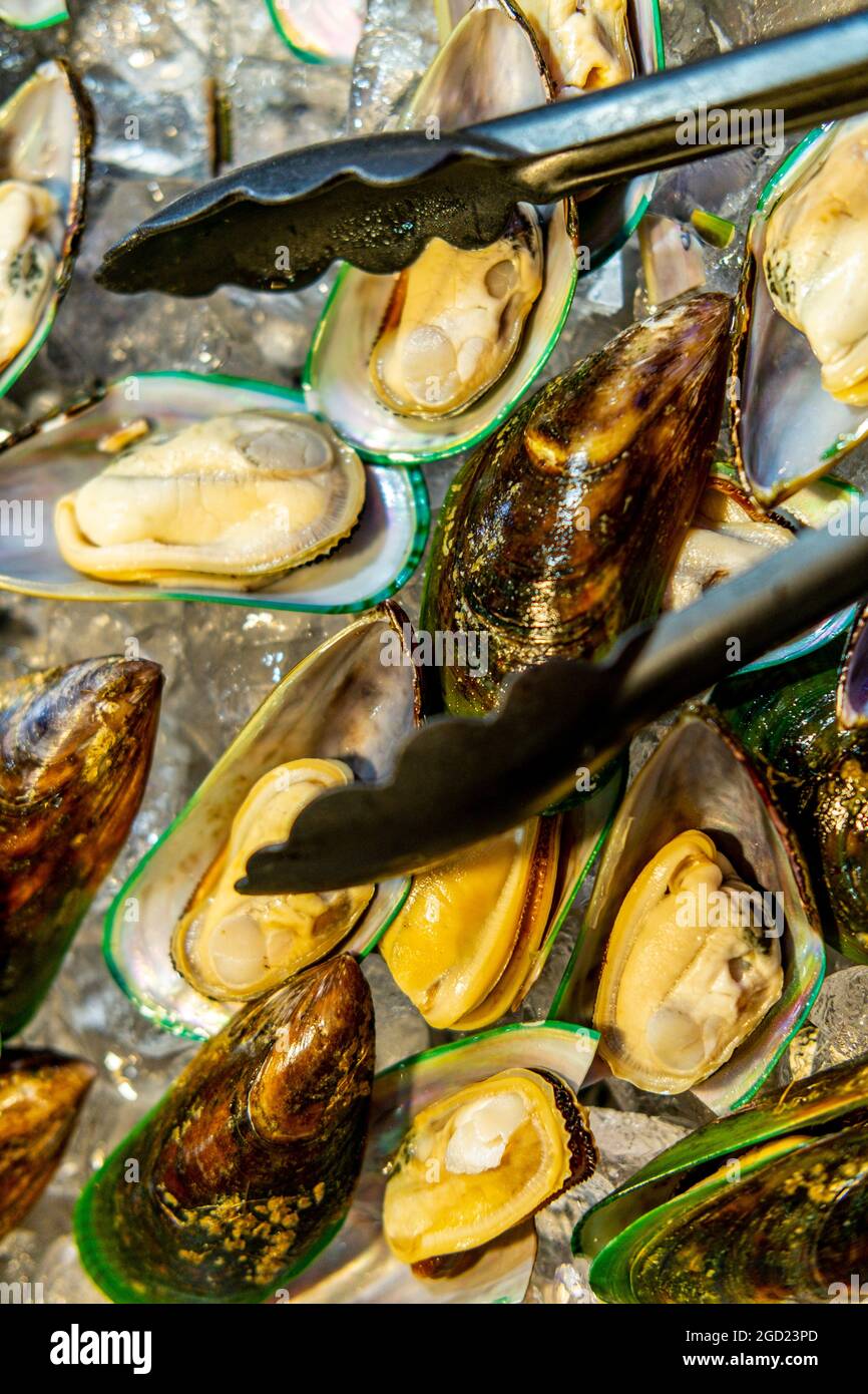 Pile of fresh mussels with shells served cold on ice Stock Photo