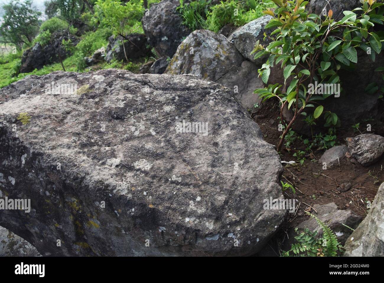 Pecked cross (cruz punteada), a pre-Hispanic rock carving most likely used as an astronomical device. Stock Photo