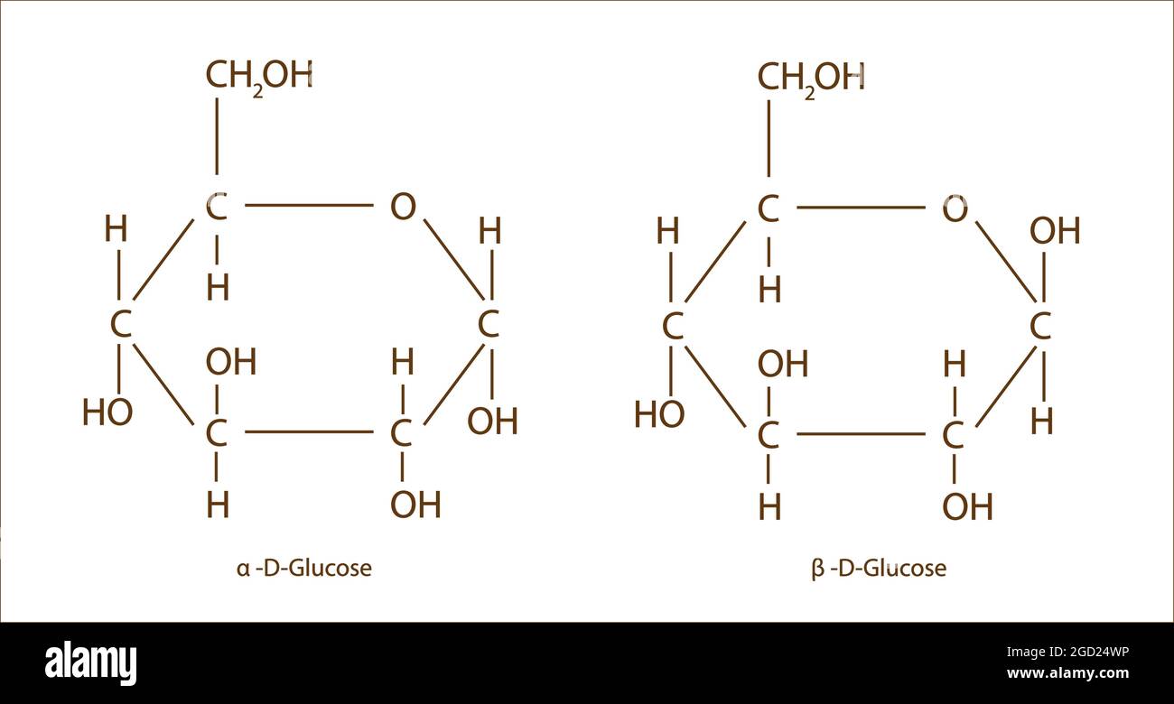 Chemical structure of alpha d glucose and beta d glucose, Chemical formula of α-d glucose and β-d glucose compound, d-glucose anatomy Stock Vector