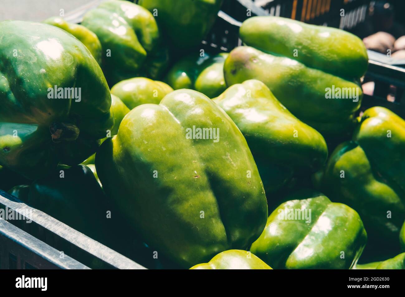 Organic green bell peppers on display at local farmers market Stock ...