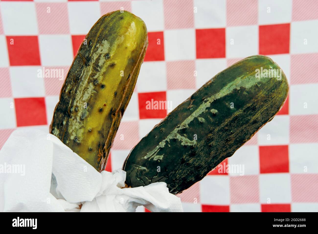Eating large half sour dill pickle on stick Stock Photo Alamy