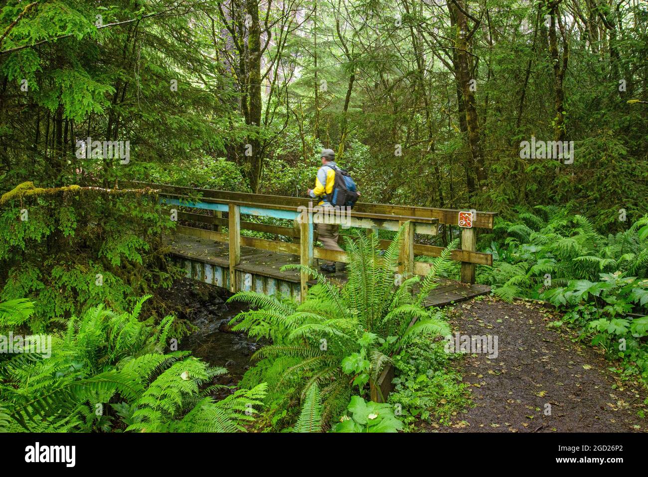 Hiker on Oregon Coast Trail at Gwynne Creek near Cape Perpetua, Oregon Coast. Stock Photo