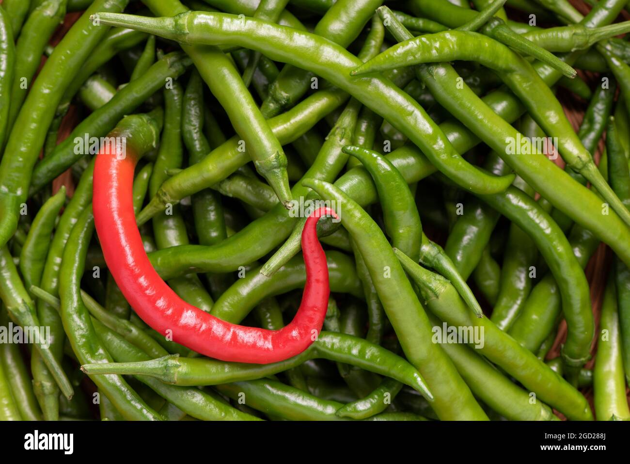 Finger hot peppers hires stock photography and images Alamy