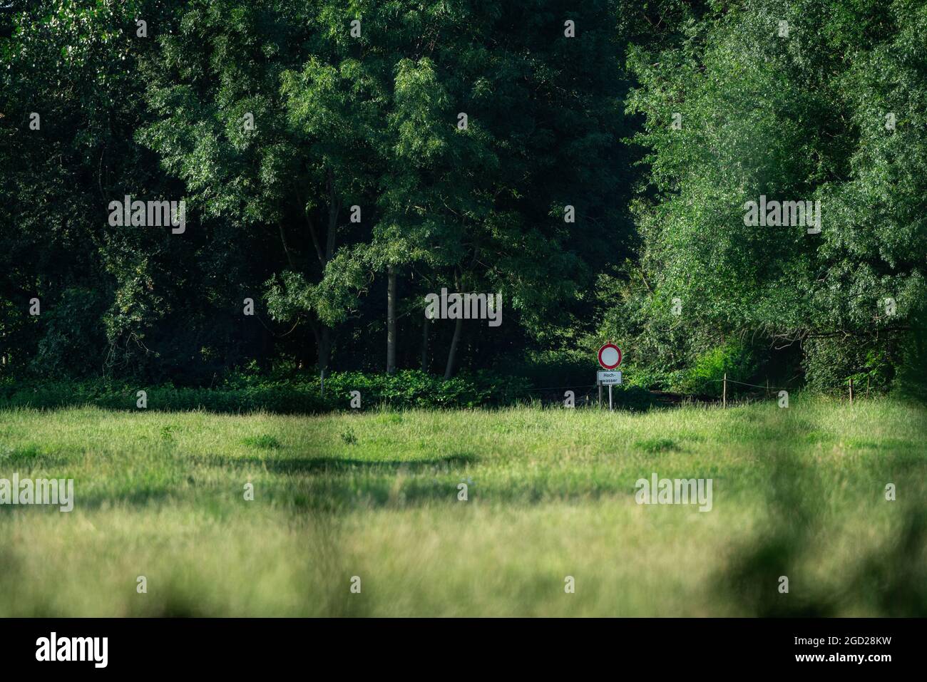 A floodplain meadow and a forest with with a trafic sign. Stock Photo