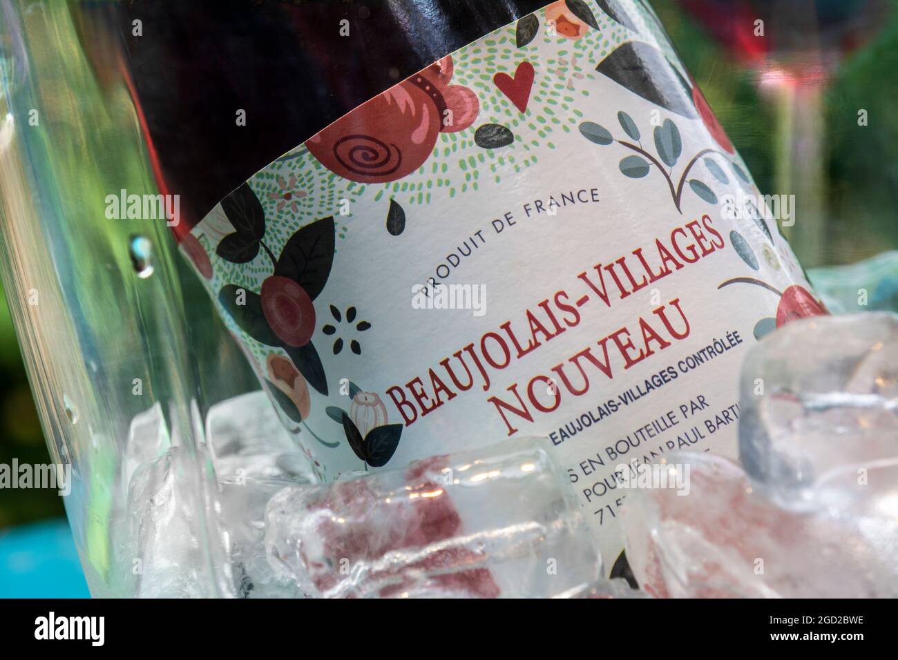Beaujolais-Villages Nouveau French young red wine placed in iced wine cooler to drink traditionally slightly chilled alfresco summer garden situation Stock Photo