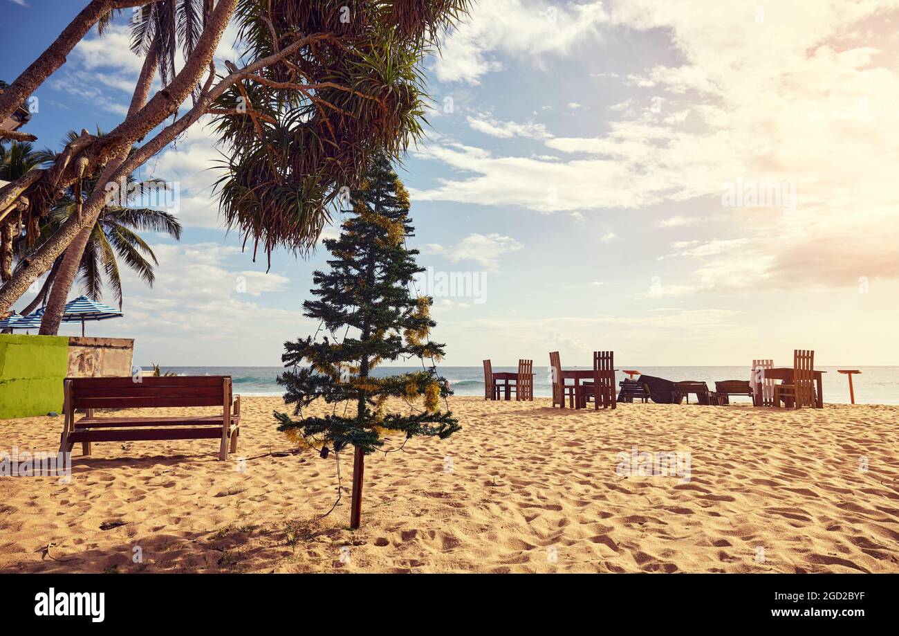 Christmas tree on a tropical beach at sunset. Stock Photo