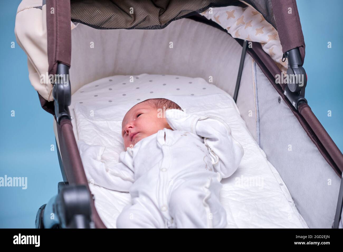 studio carriage pram