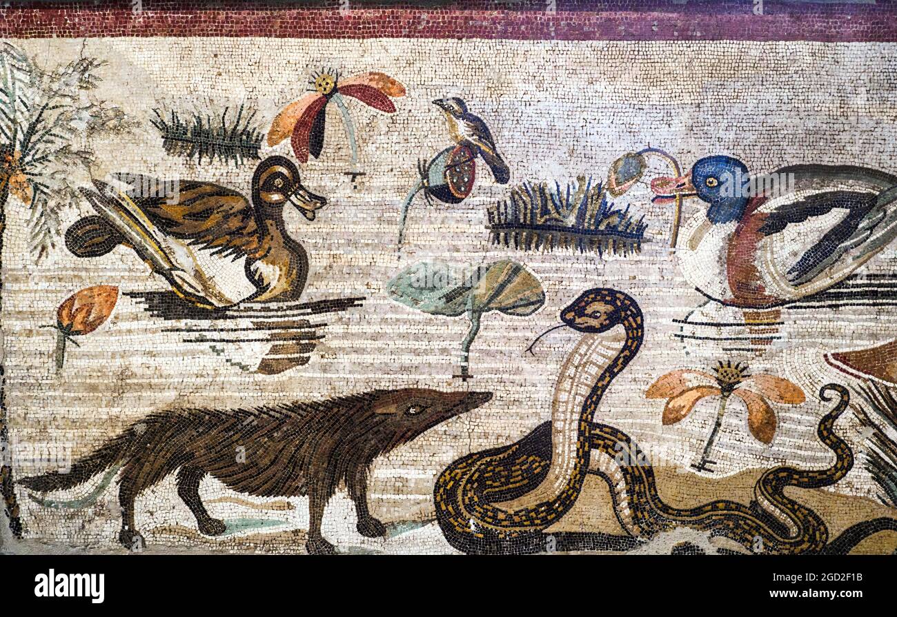 Nilotic scene detail Mosaic threshold in opus vermiculatum made from polychrome tesserae. situated in the central intercolumnation, the mosaic depicts Nilotic fauna with a cobra and ducks swimming in the river among aquatic plants Pompeii, Casa del Fauno (House of the Faun) - Late 2nd - early 1st century BC Stock Photo