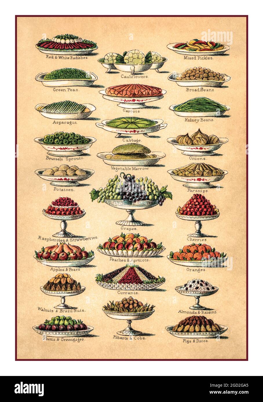 MRS BEETONS 1890's Colour lithograph from Mrs Beetons Cookery Book illustrating variety of exotic Victorian fruits and vegetables Stock Photo