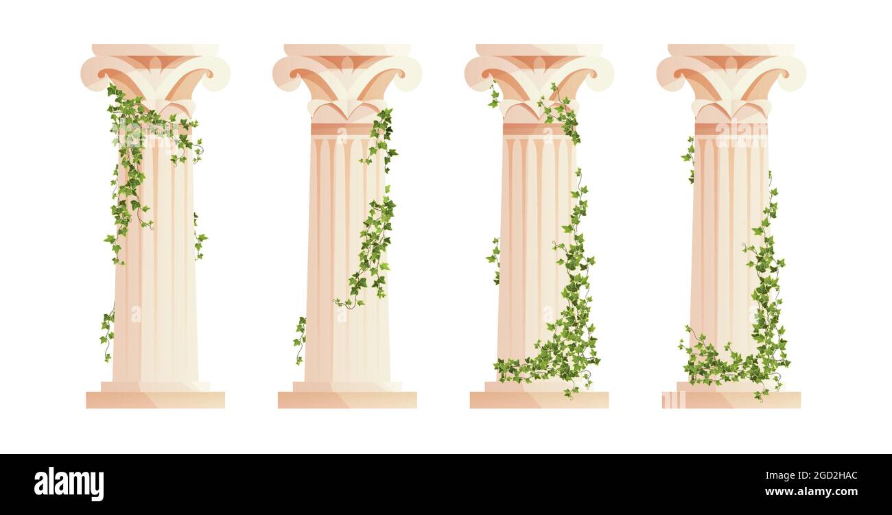 Ancient Greek column with ivy climbing branches. Roman pillar. Building design elements and