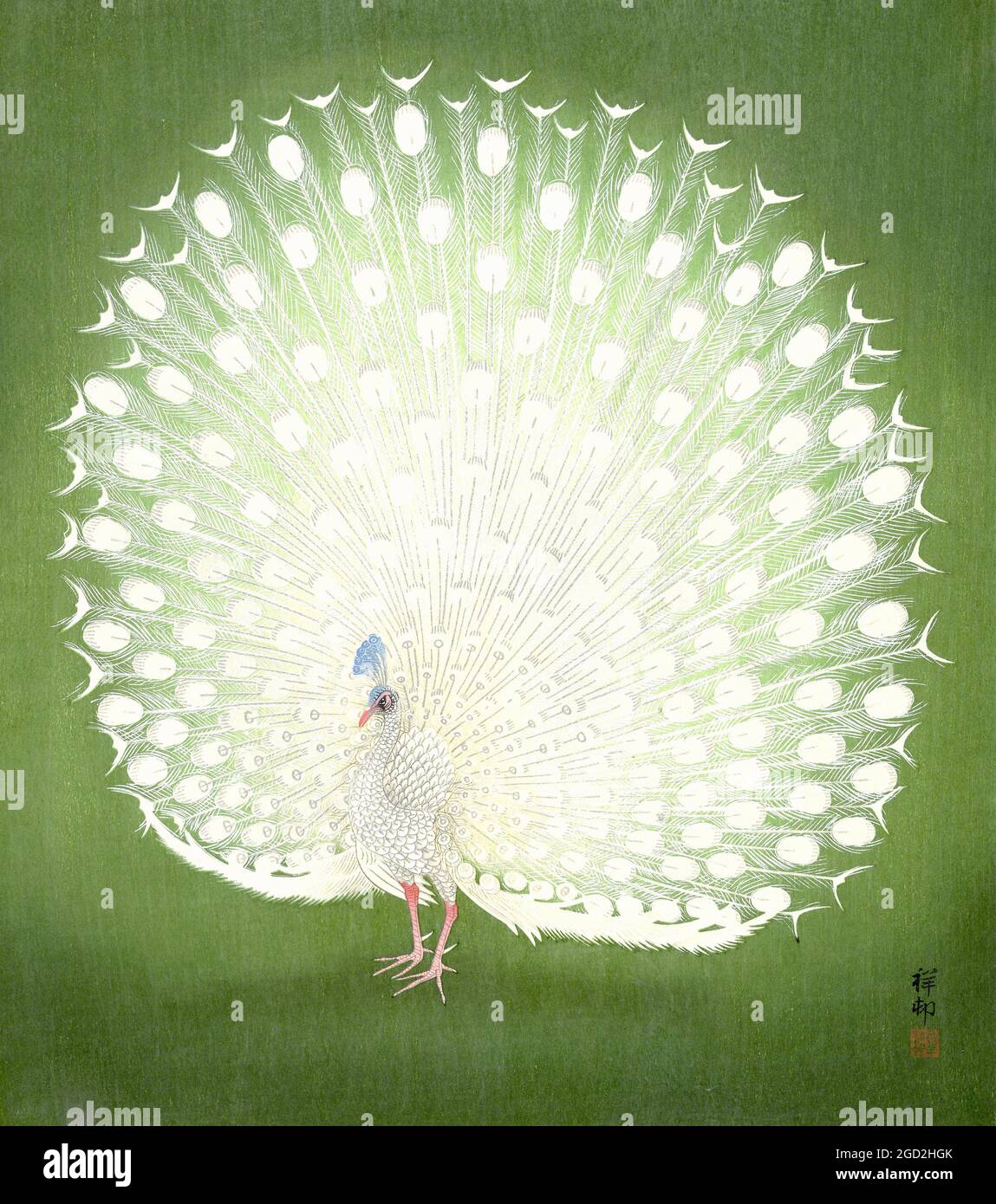 Ohara Koson artwork entitled White Peacock Stock Photo