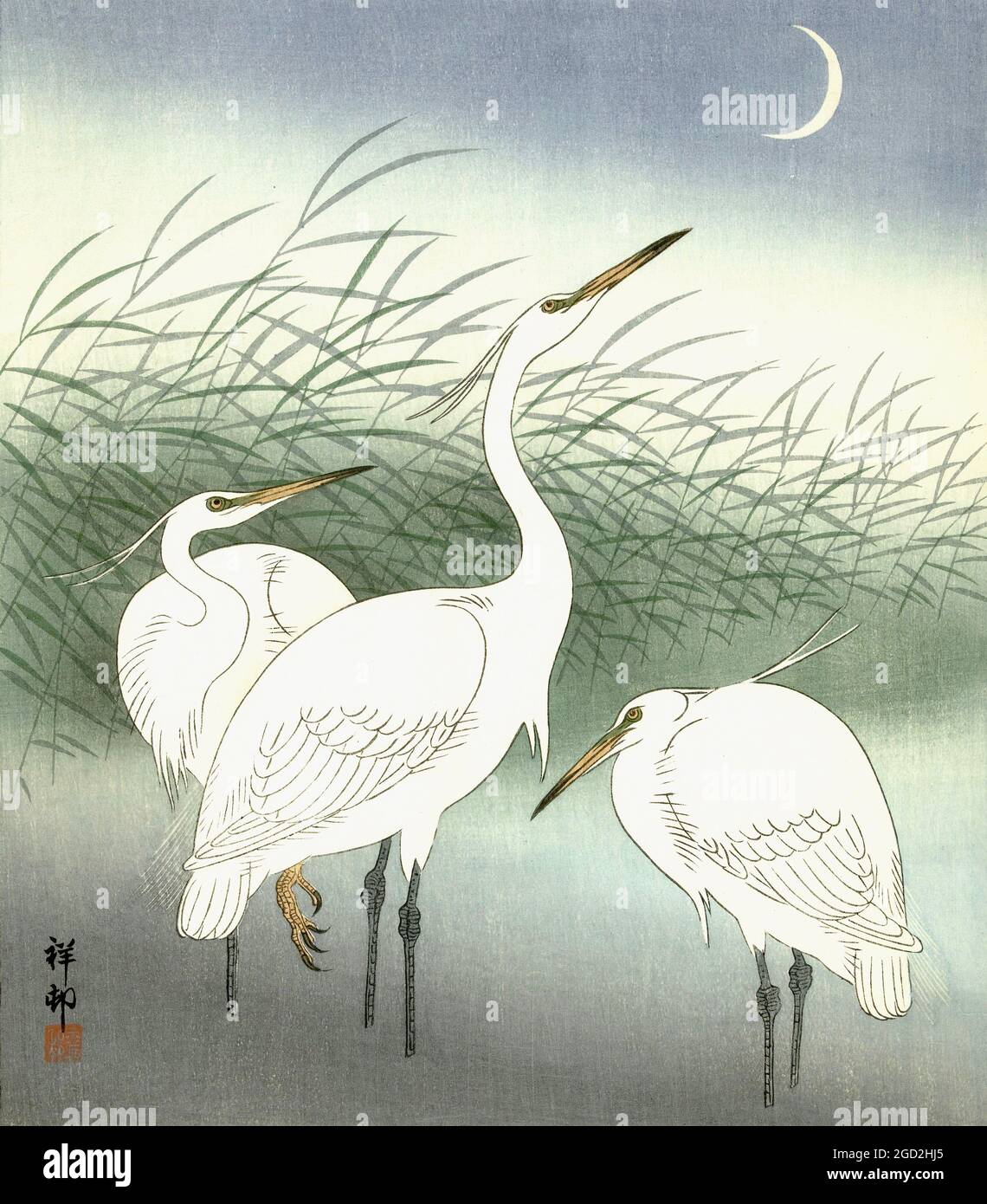 Ohara Koson artwork entitled Herons in Shallow Water - Reigers in Ondiep Water - 1934 Stock Photo