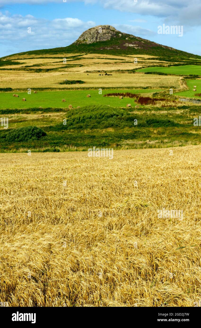 Pembrokeshire countryside hires stock photography and images Alamy