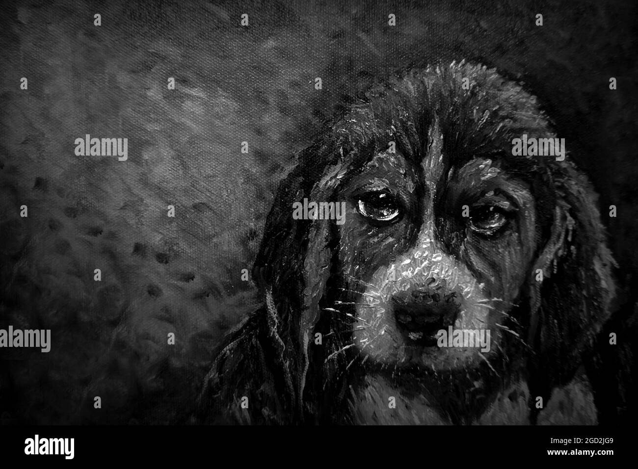 Art oil painting  Face Cute  dog  background from thailand  , black and white , monochrome Stock Photo