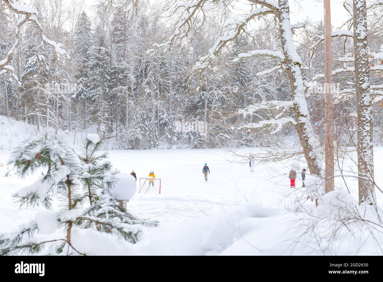 People skating on frozen lake Stock Photo - Alamy