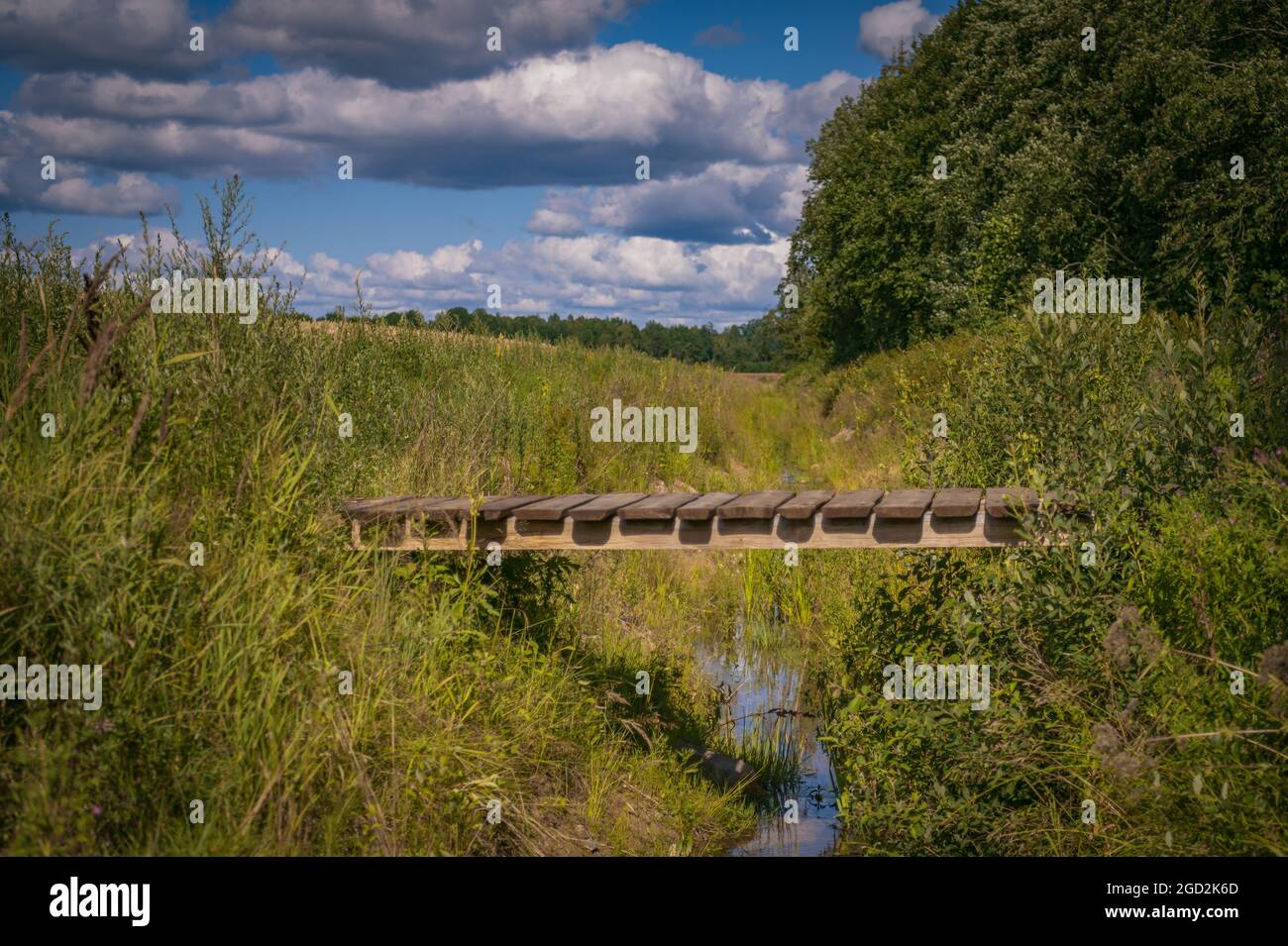 a small river with a wooden footbridge over it and sky clouds and around the river long grass and trees Stock Photo