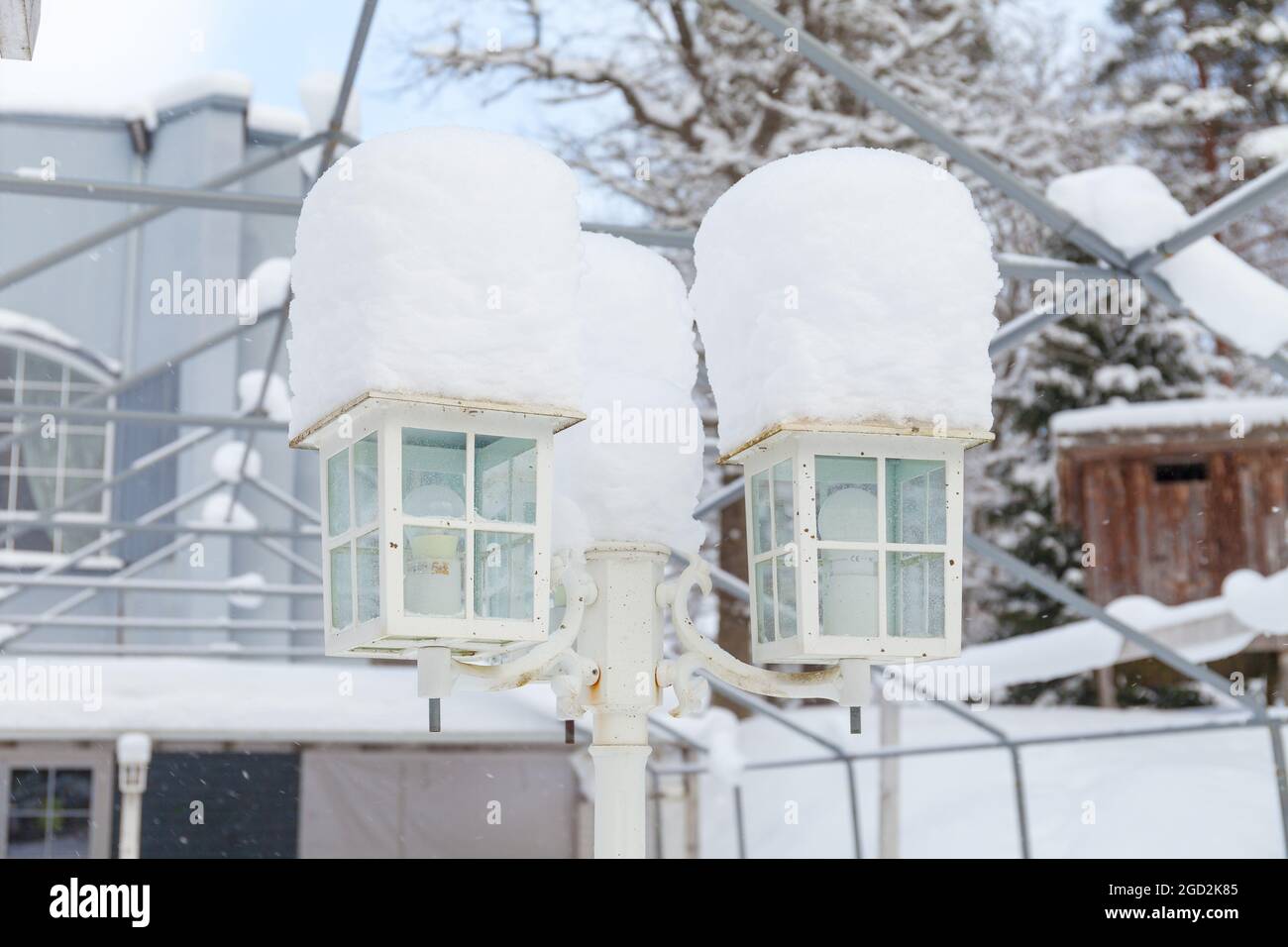 Hanging lanterns forest hi-res stock photography and images - Alamy
