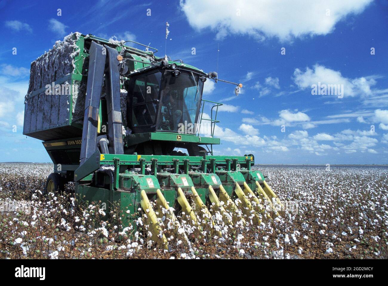 Cotton inustry hires stock photography and images Alamy