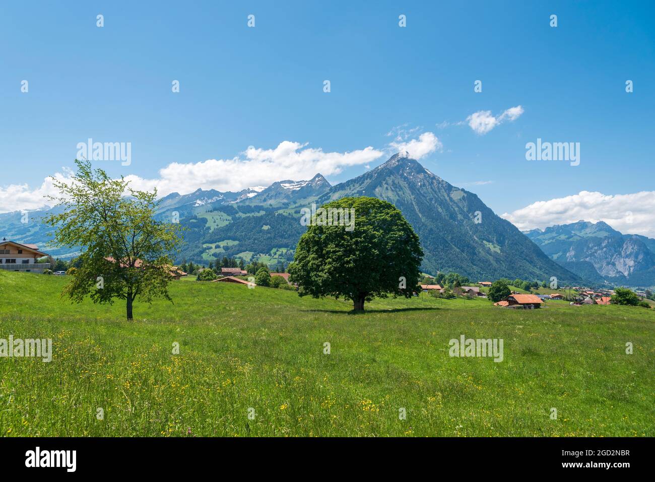 geography / travel, Switzerland, landscape with the mount Niesen, Aeschi near Spiez, Bernese Oberland, ADDITIONAL-RIGHTS-CLEARANCE-INFO-NOT-AVAILABLE Stock Photo