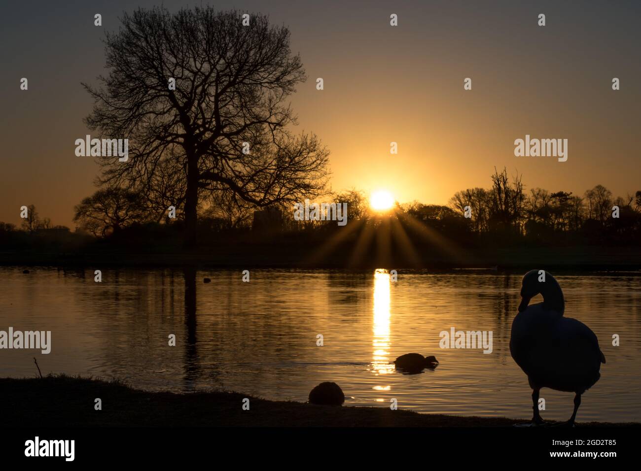 Golden lake hi-res stock photography and images - Alamy