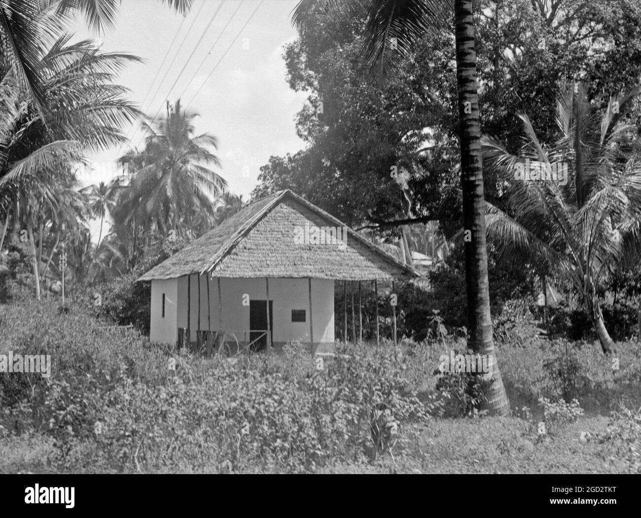 Zanzibar clove Black and White Stock Photos & Images - Alamy