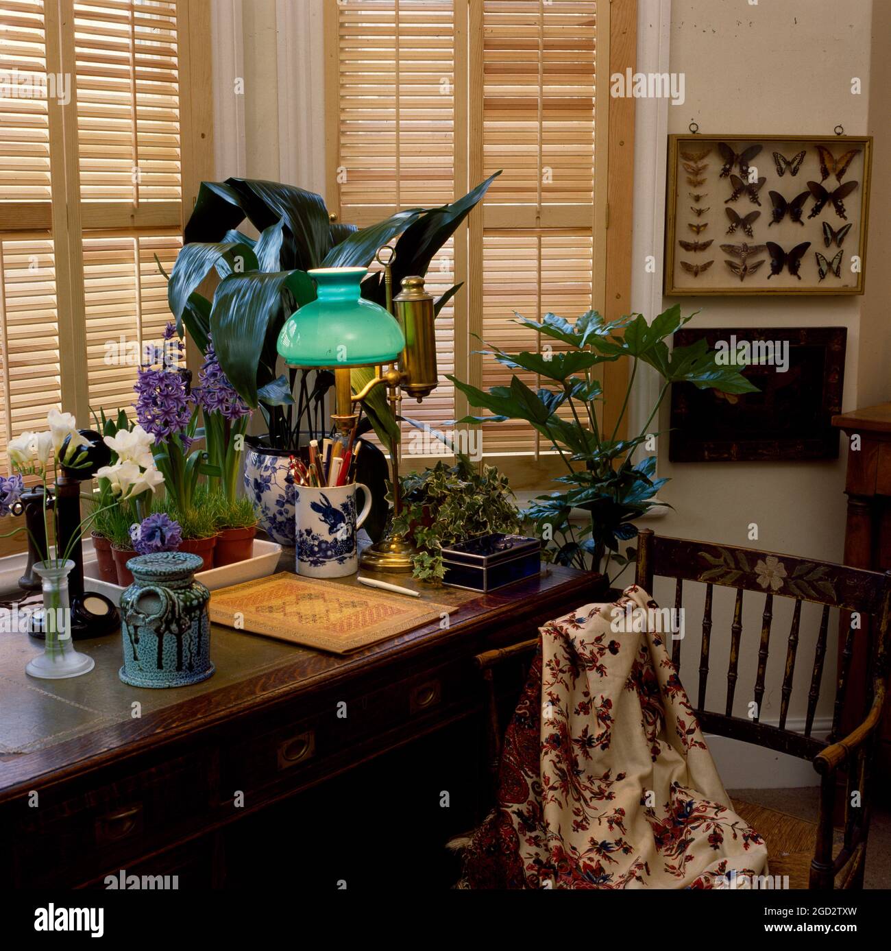 Closeup of desk with collection of house plants in bay window Stock Photo