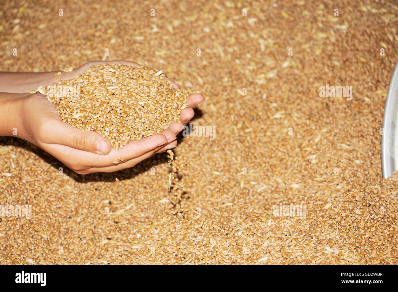 Food producing culture hires stock photography and images Alamy