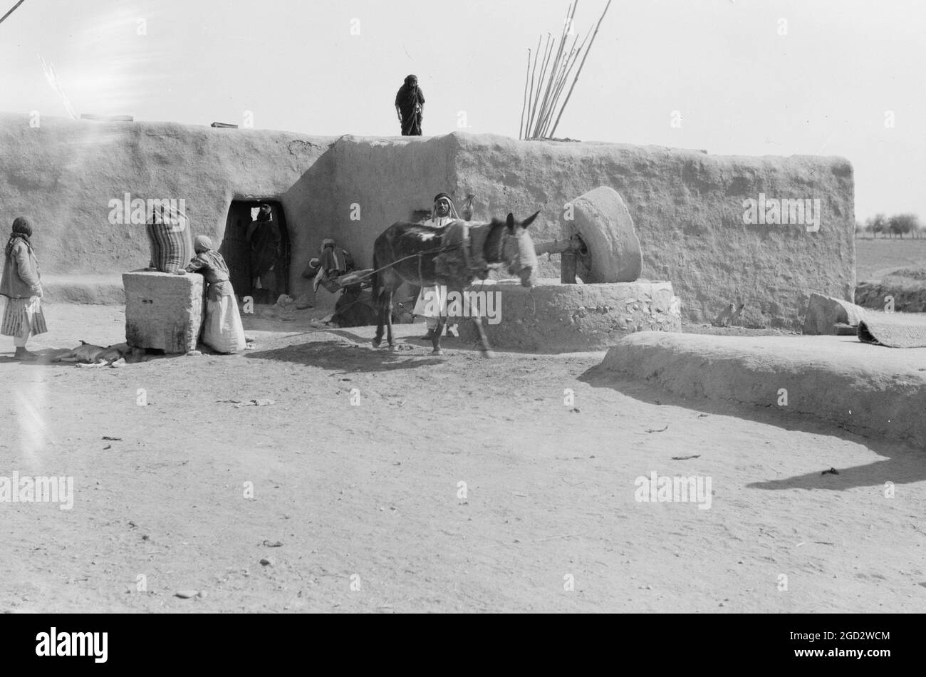 A primitive wheat mill near Nineveh Iraq ca. 1932 Stock Photo Alamy