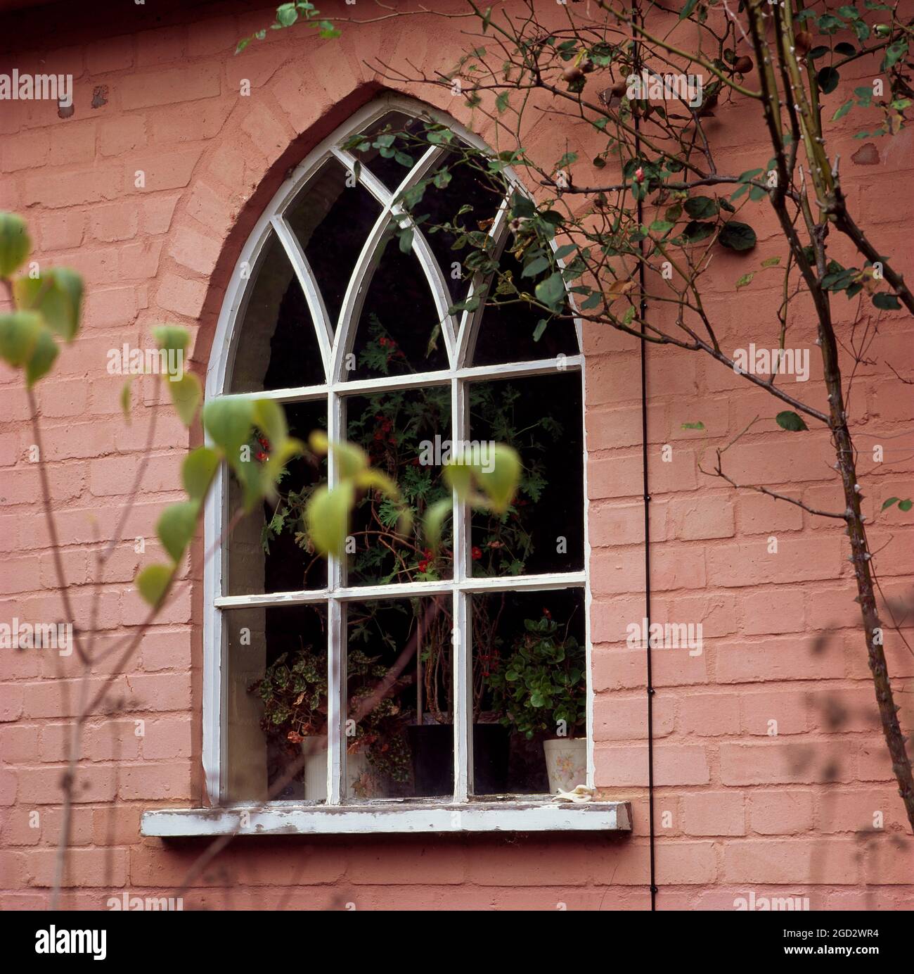 Exterior of Gothic shaped window in pink painted exterior. Stock Photo