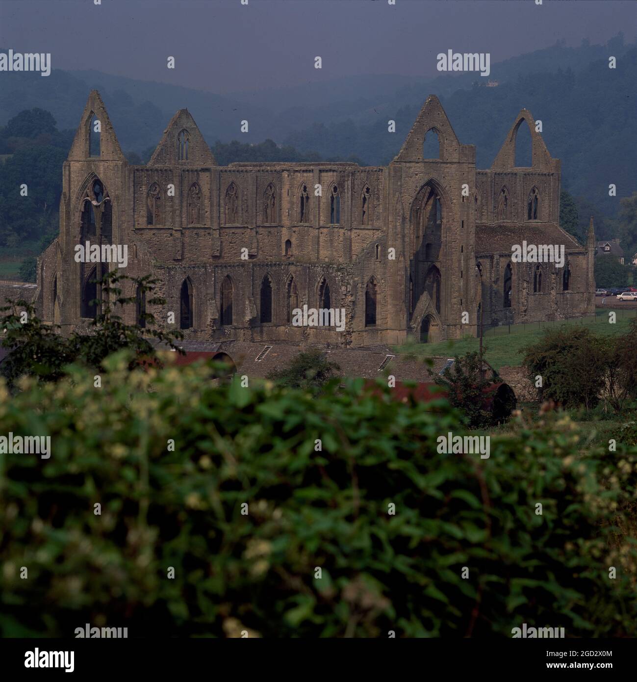 Tintern Abbey ruins of Gothic Abbey Stock Photo