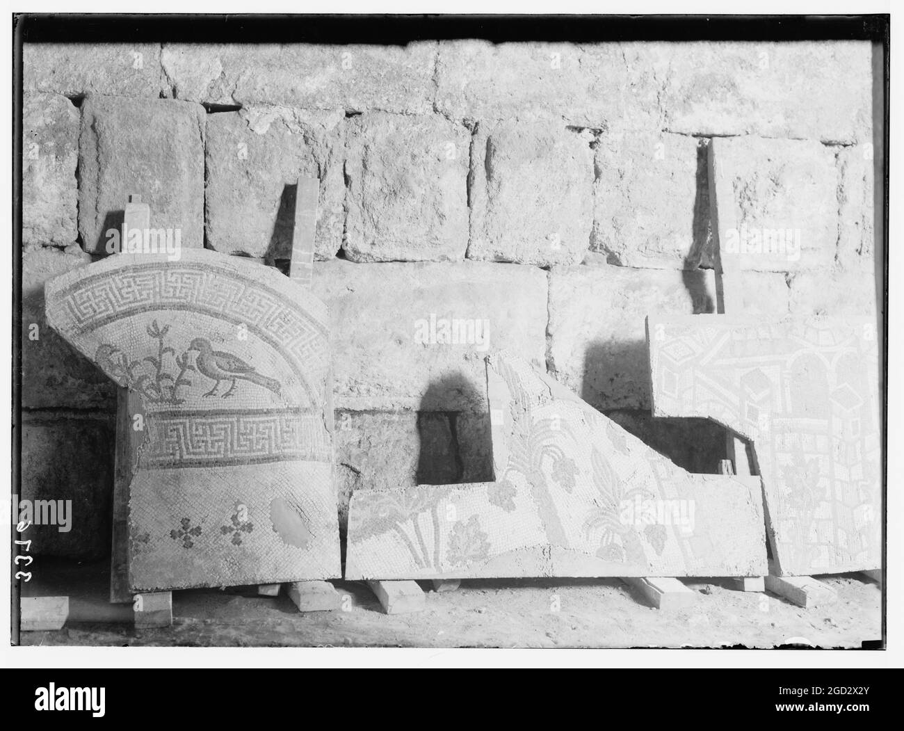 Ruins of Jerash (Gerasa), a Jerash mosaic, section showing fruiting palm trees and birds. ca. 1920 Stock Photo