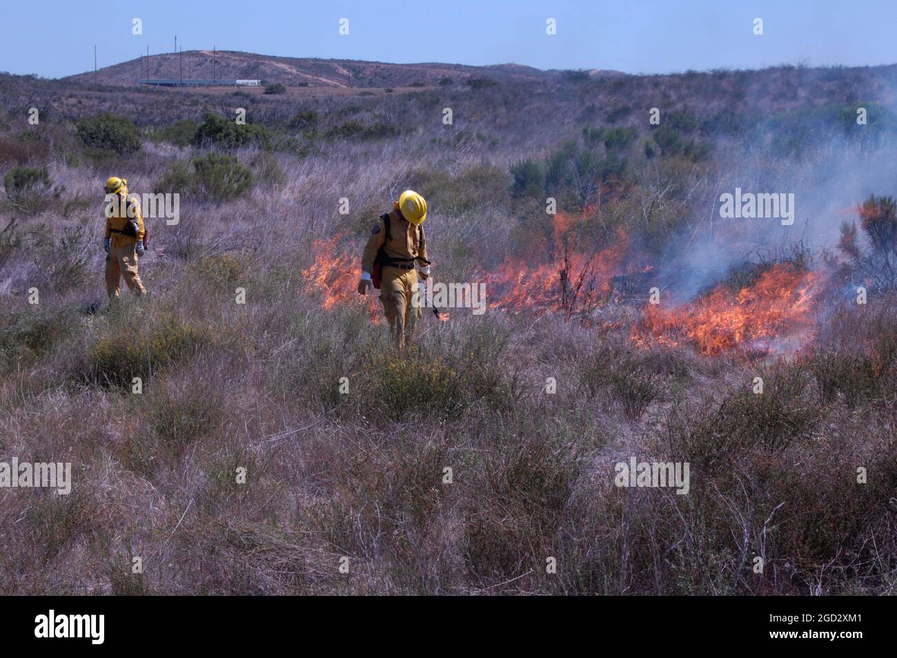 Firefighters working prescribed burn Stock Photo