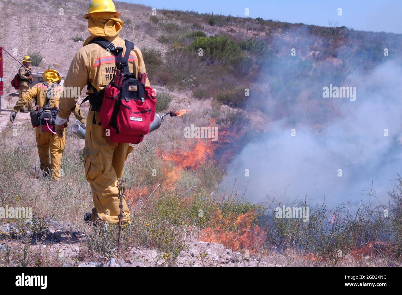 Miramar Fire Department firefighters working prescribed burn Stock Photo