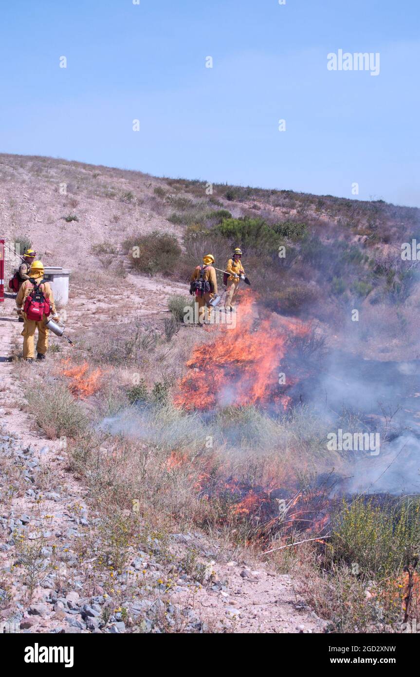Miramar Firefighters working brush burn Stock Photo